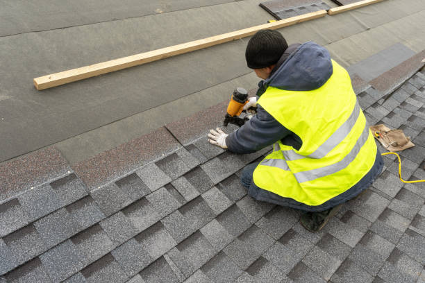 Best Flat Roof Repair Services  in Rushvle, IL
