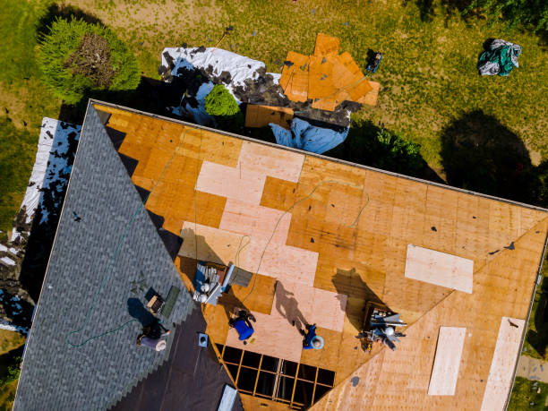 Best Gutter Installation and Roofing  in Rushvle, IL