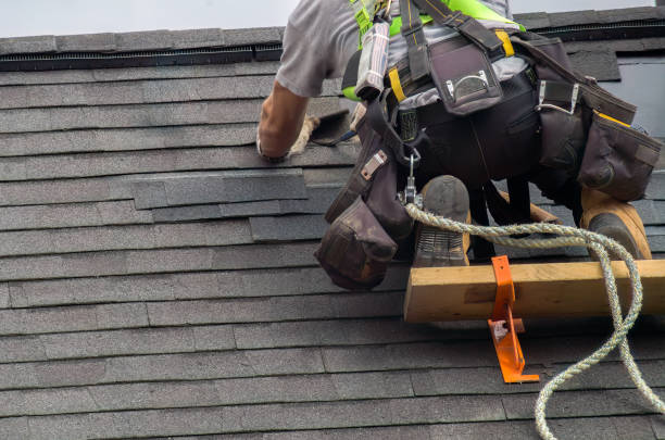 Best Best Roofing Contractors  in Rushvle, IL